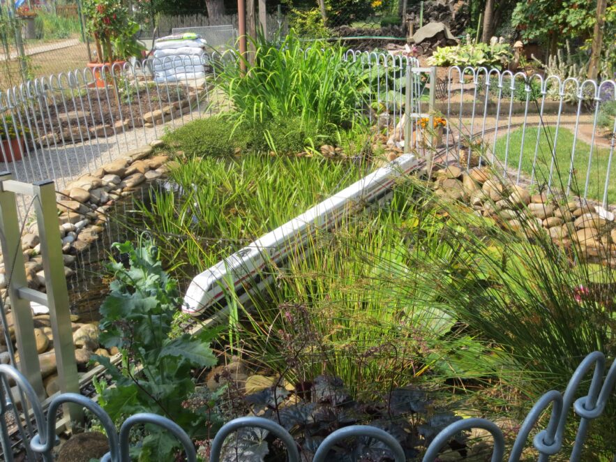 Die der Zug fährt über den Gartenteich