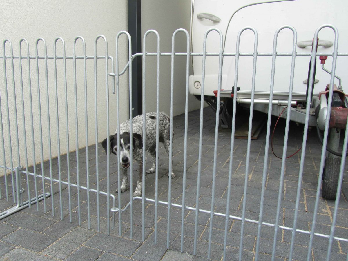 Zaun als Hunde Auslauf im Garten melabel® Steckzäune