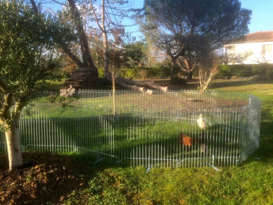 De roosters “rabbit-100-roh” zijn 100 cm hoog en hebben na een jaar al een mooie roestpatina gekregen.