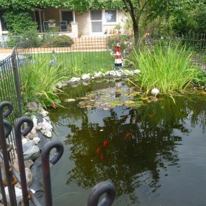 Gartenzaun aus Stahl um einen Teich selber Aufgebaut