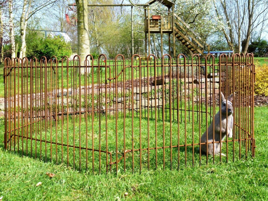 Kanninchen im Hasengehege aus rostigem Stahldraht