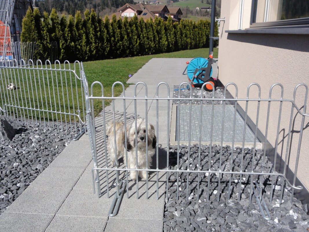 Hundegitter mit Standfüßen einfach auf dem Boden aufgestellt