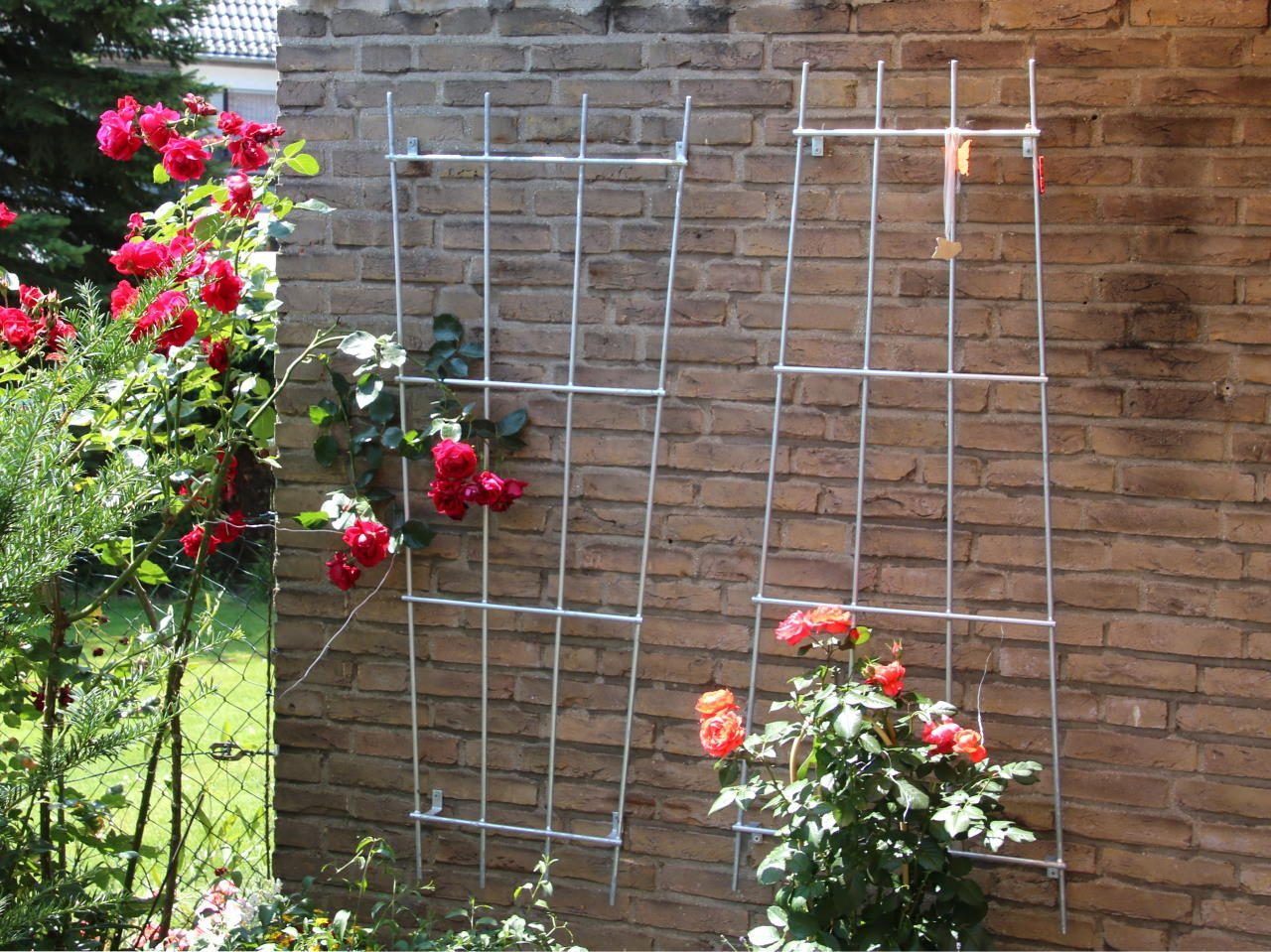 Arche de jardin Treillis de support d'escalade Roses et plantes