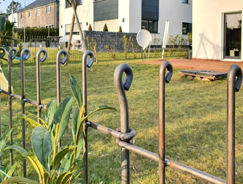 Stalen hekwerk voor een laurierkershaag.