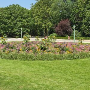 Das umzäunte Blumenbeet im Stadtpark ist vor Vandalismus geschützt.