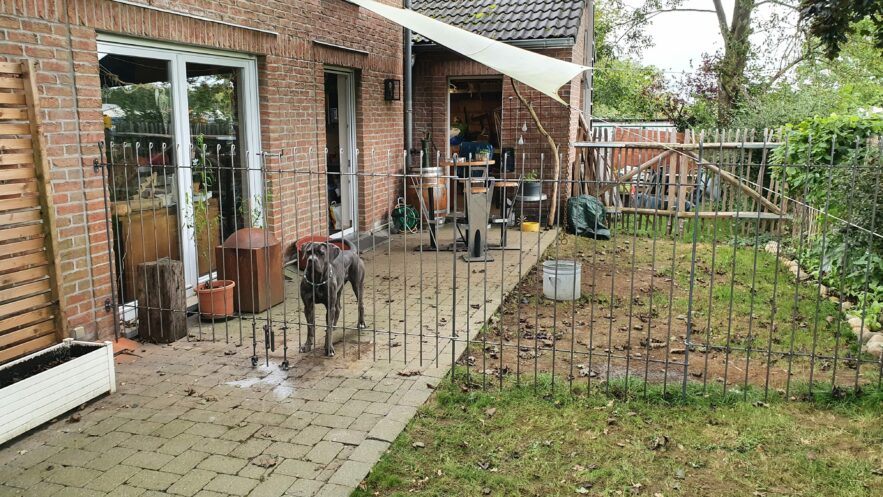 Was denkt der Hund über den neuen Zaun aus Metall?