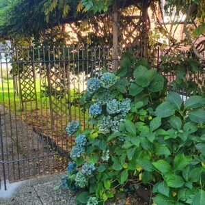 Zaun aus Stahl mit Seiteneingang zum Garten