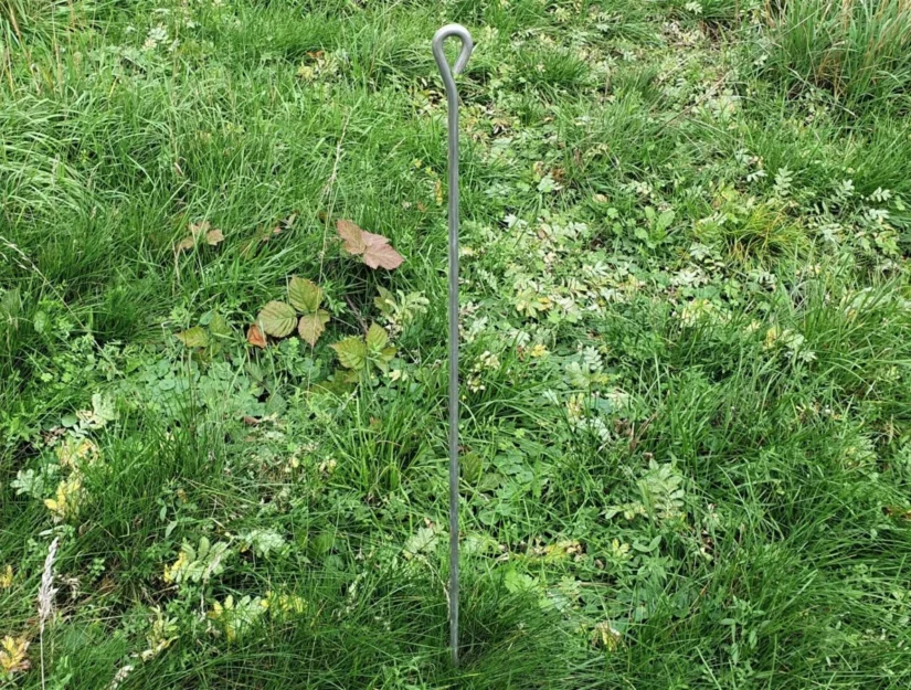 De plantstaaf met oog is 115 cm lang en heeft bovenaan een gebogen lus.