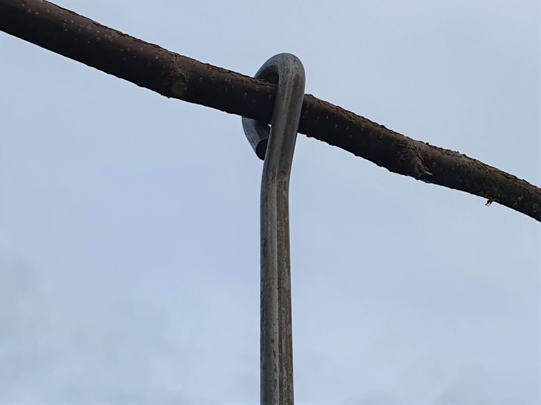 Pflanzstab Öse mit durchgezogenen Ast