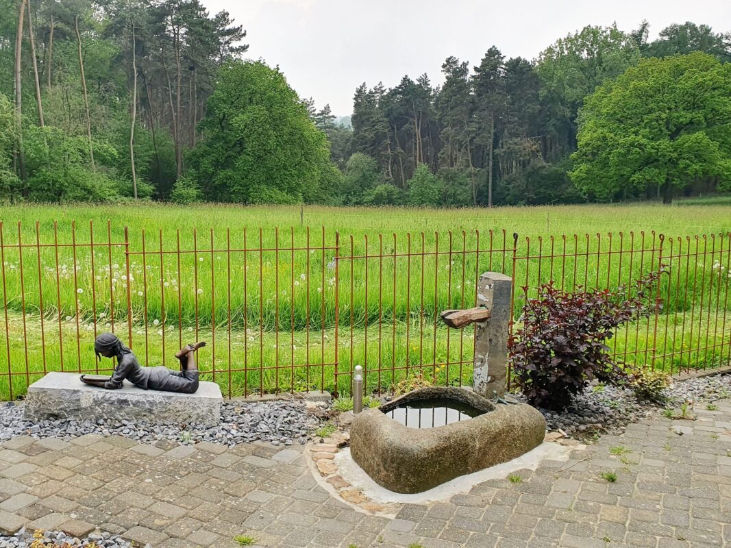 Clôture en fer rouillé devant une prairie avec forêt