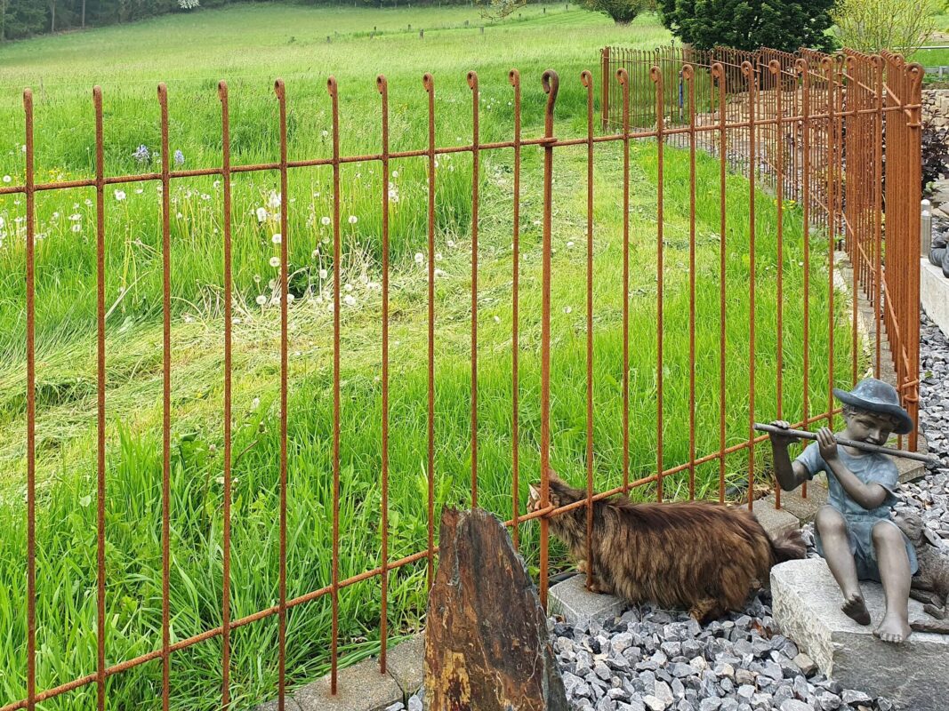 Eine Katze passt noch locker durch den Zaun