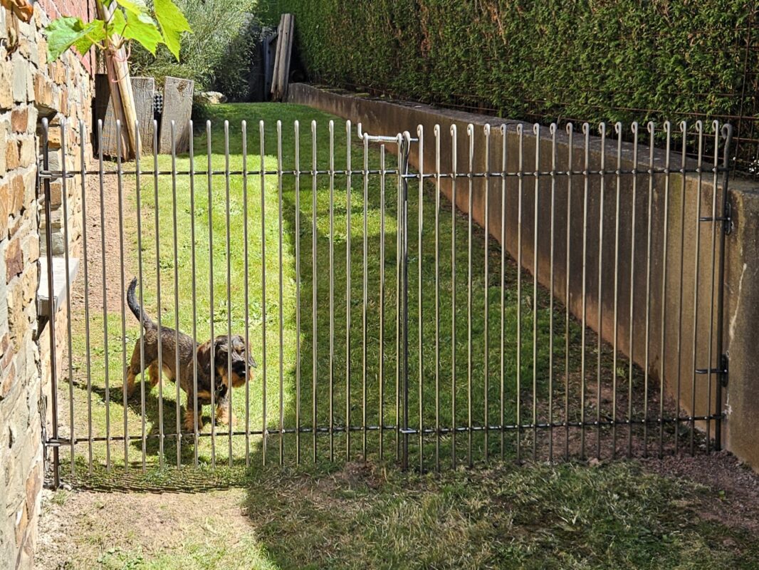 Tür engmaschig-115-roh für einen Dackel.