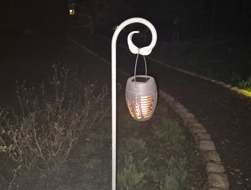 Der verzinkte Pflanzstab Schnörkel mit einer Solarleuchte.