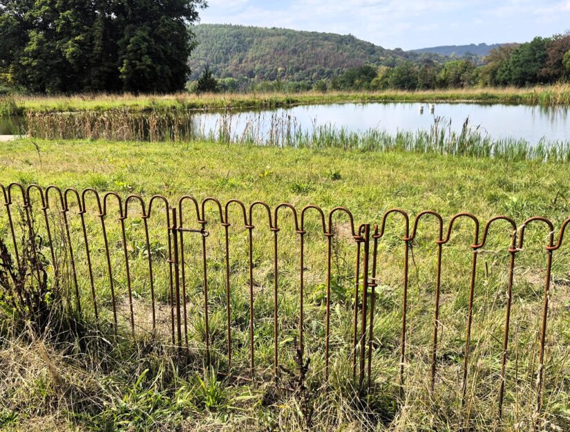 L'accès à l'étang se fait par la porte de la clôture.