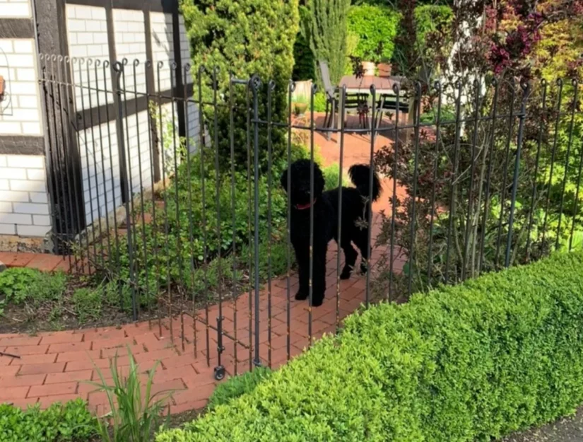 Tür anneau-145-roh mit einer Bodenrolle.