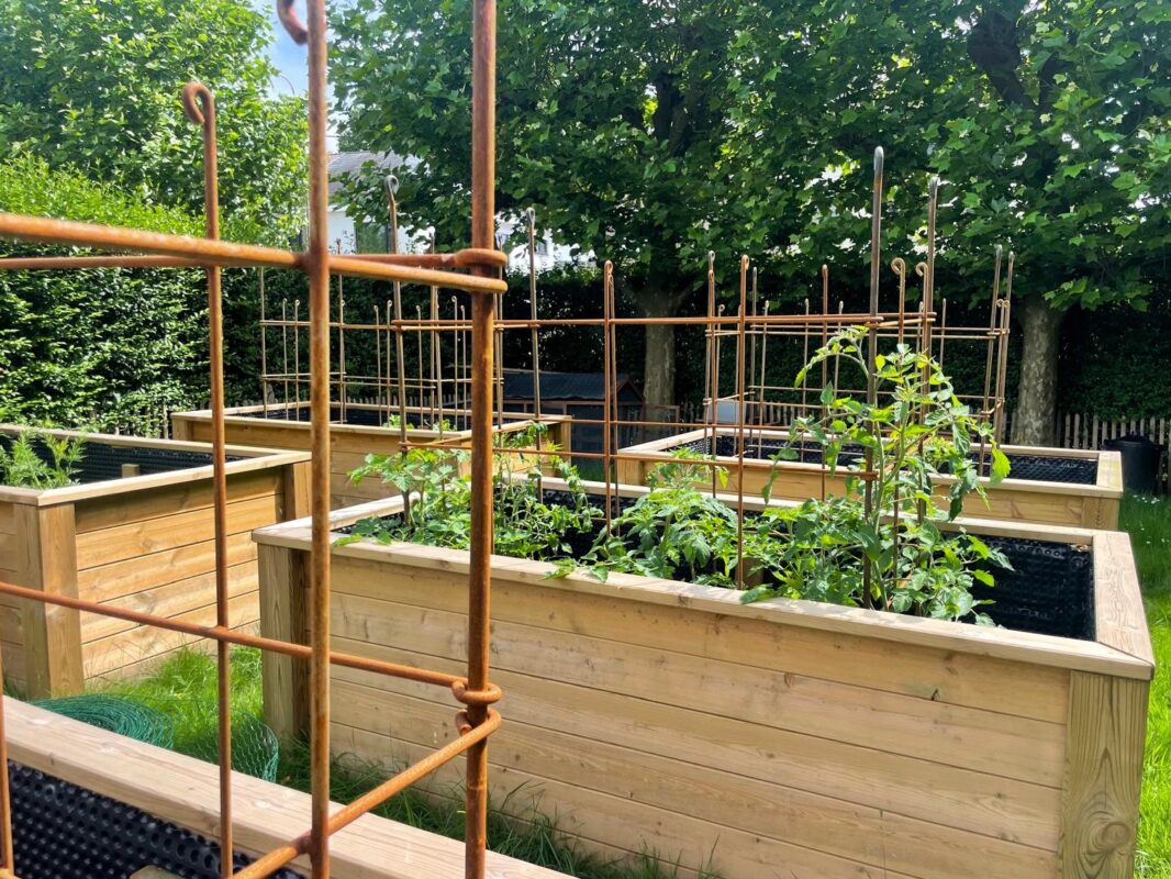 Wir sind begeistert, haben die Spaliere in den Hochbeeten montiert.