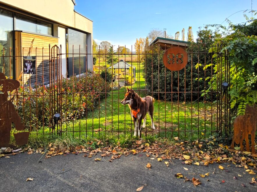 Wir sind sehr zufrieden mit dem Zaun und auch die Nachbarn freuen sich über die schöne Optik. Unser Hund fühlt sich ebenfalls wohl :-)