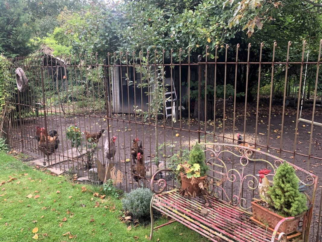 wir sind von Grund auf zufrieden. Ob von der Handhabung oder vom Optischen . Es gibt absolut nichts zu bemängeln