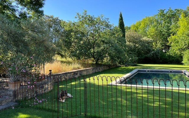 Une clôture qui protège et embellit : témoignage de Vincent en Provence