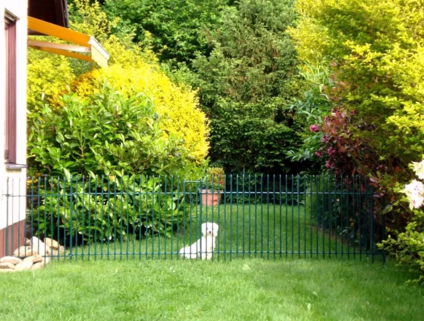 Groen geverfd metalen hek voor een kleine hond.