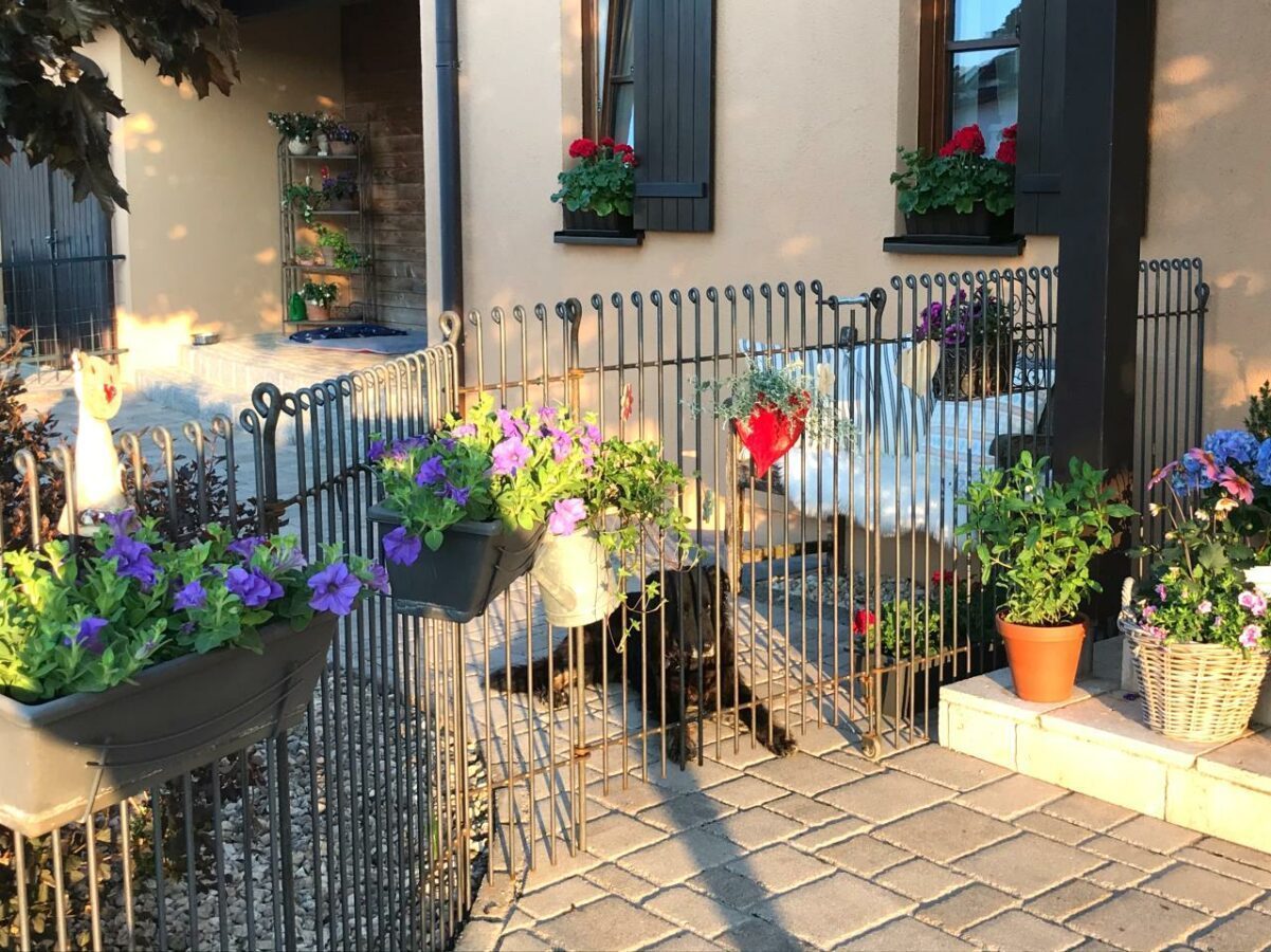 Zaun als Hunde Auslauf im Garten - melabel® Steckzäune