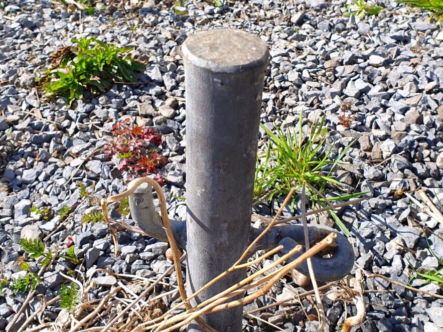 Ce poteau massif en acier galvanisé, d'un diamètre de 3,5 cm, a été enfoncé à 90 cm de profondeur dans le sol compacté à l'aide d'une masse.