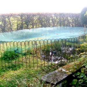 Teich-Zaun mit überspanntes Netz als Schutz vor dem Fischreiher