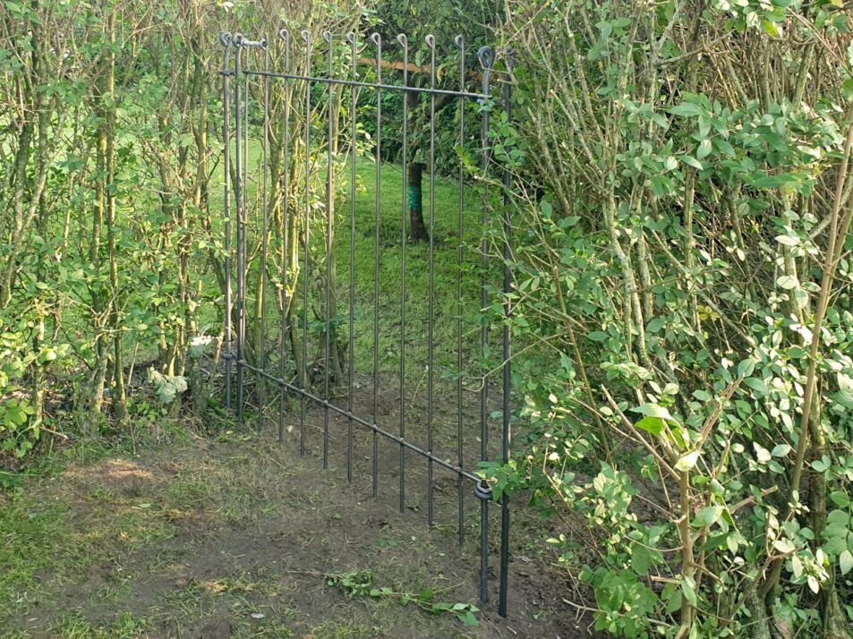 Gartentor in der Lücke einer Hecke aufgebaut - Steckzäune aus