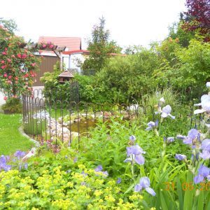 Bunte Blumen stehen im Garten um den mit einem Zaun geschützten Gartenteich