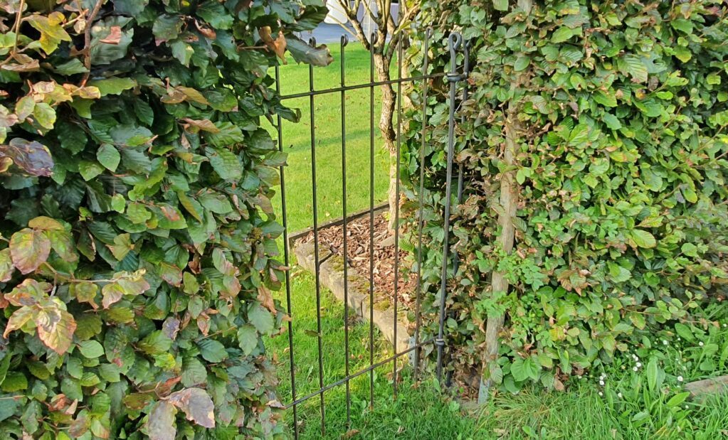 Gartentor in der Lücke einer Hecke aufgebaut - Steckzäune aus