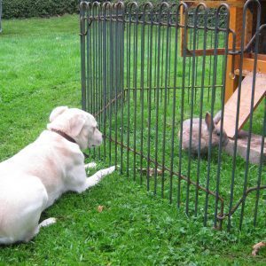 Der Hund würde gerne durch das Gitter zu den Kaninchen