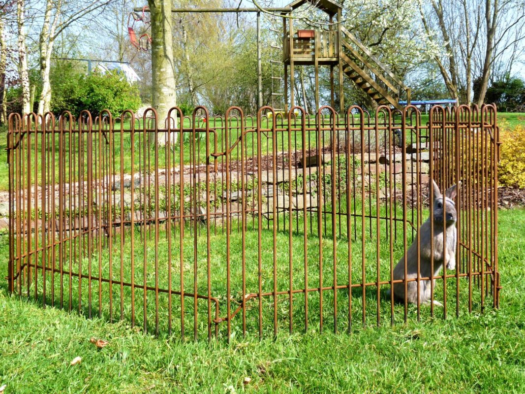 Grille mobile rabbit