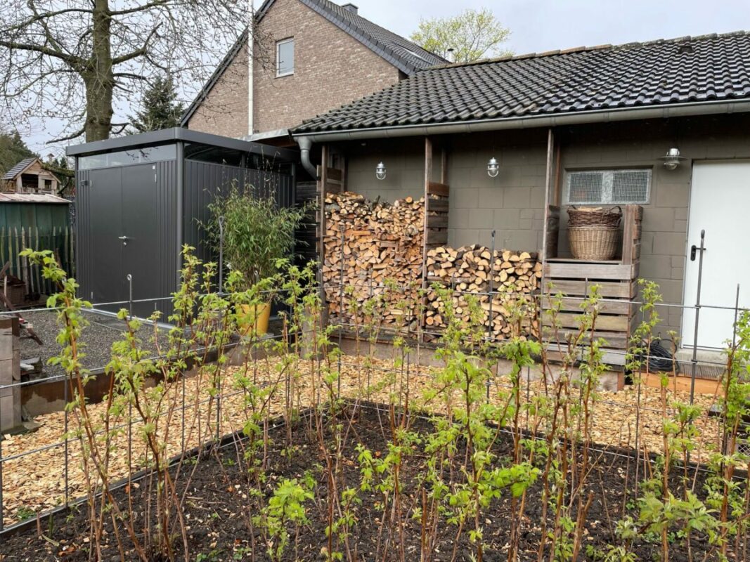 plantenklimreken himbeerbeet-mit-rankhilfen-aus-metall-1-scaled-1200x900