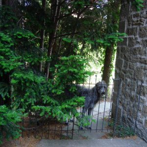 Eine Abtrennung zwischen den alten Mauern für den Hund mit einer Durchgangstür