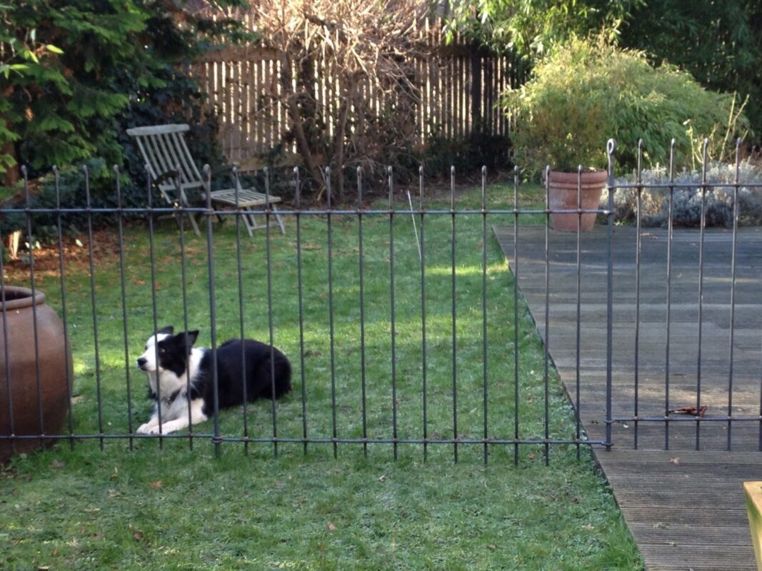 Hondenomheining anno
Het duurzame, snel te monteren tuinhek