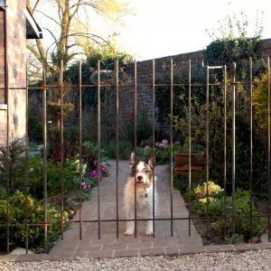 Der kleine Hund steht vor der Gartentür aus Metall