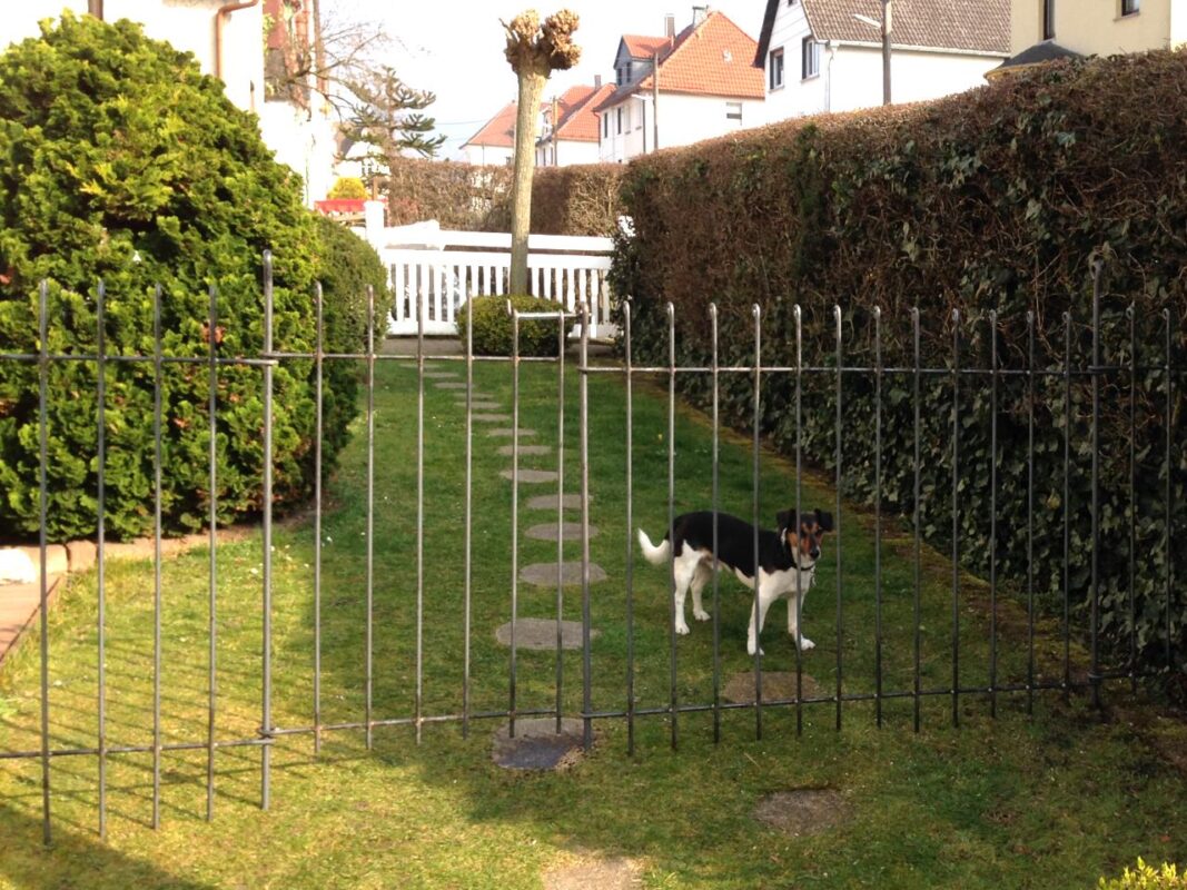 Hundezaun-aus-Metall-im-Garten