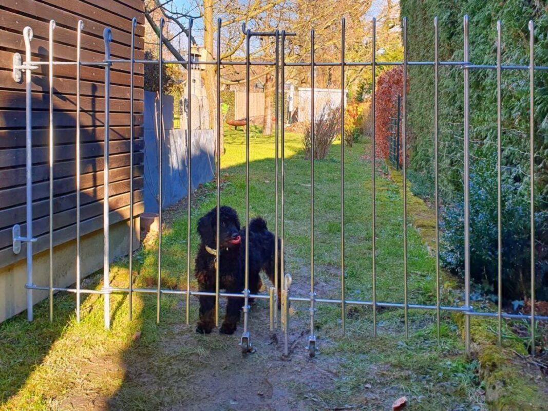 hundezaun-mit-doppeltor-3-1200x900