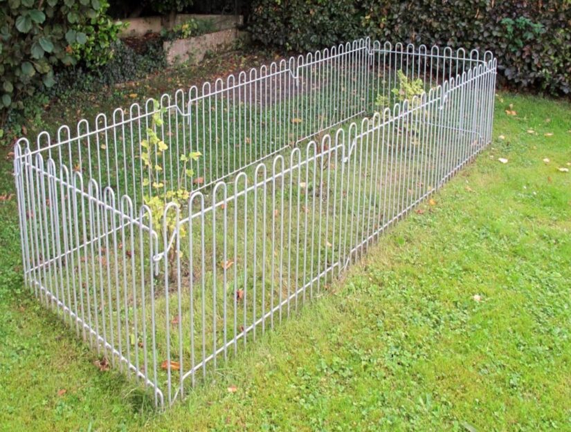 Bescherming van de struiken tegen de hond met een hek dat op de grond is geplaatst.