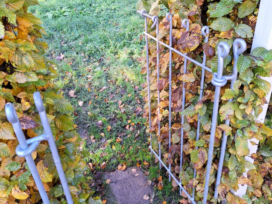 Tür in Buchenhecke einbauen