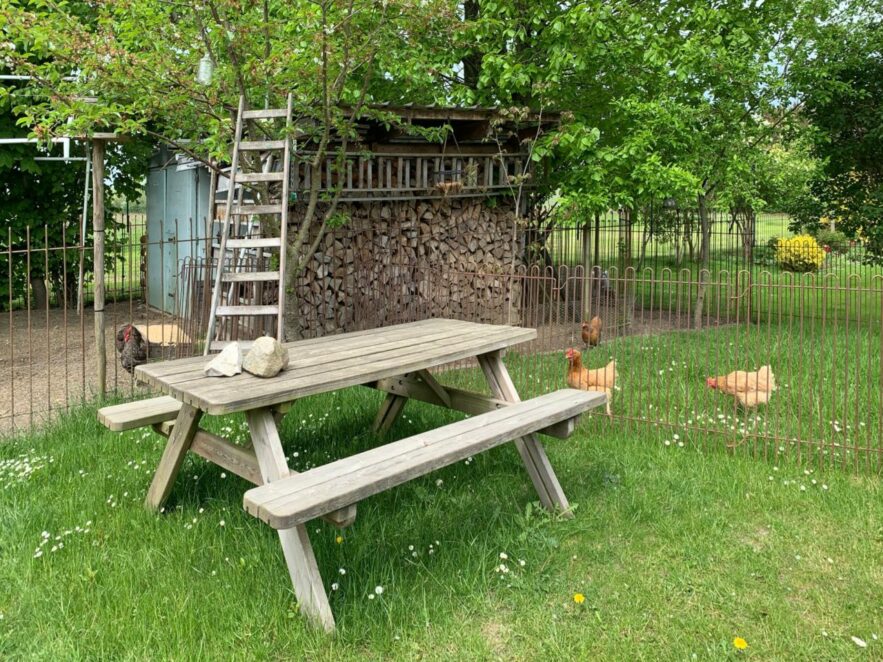 Die mobilen Gitter für die Hühner können auf dem Rasen leicht umgestellt werden.