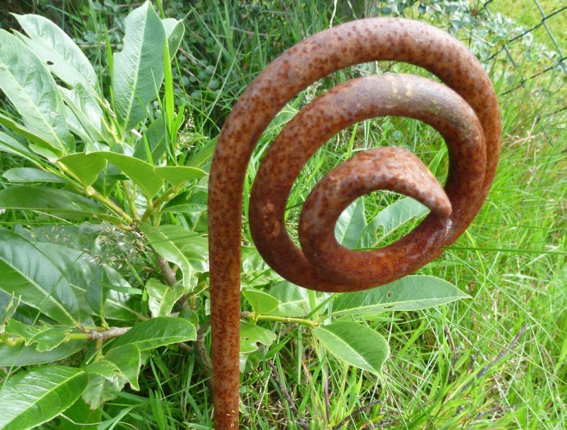 Tuteur de plantation "escargot" Ø 1,2 x 150 cm brut (fortement rouillé) 1,7 kg