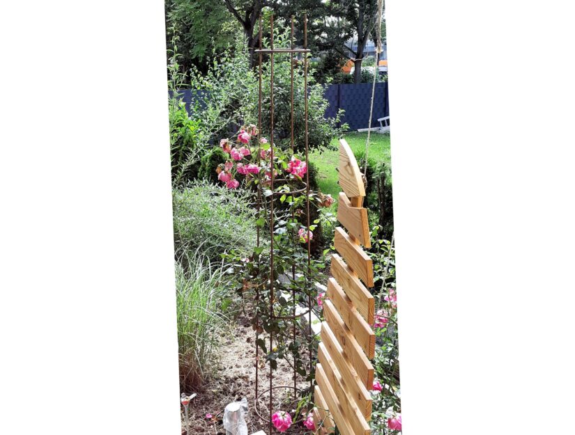 La colonne de treillis brute (sans parasol supérieur) plantée d'une rose.