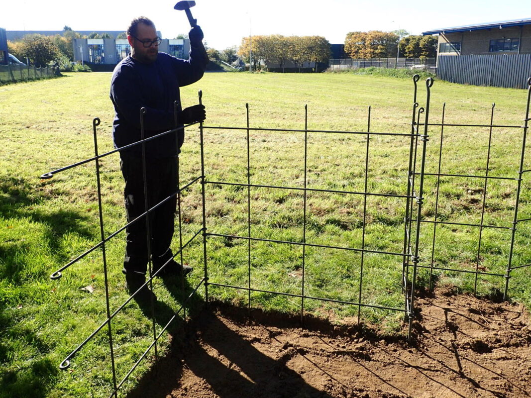 Spaliere Brombeeren aus Metall