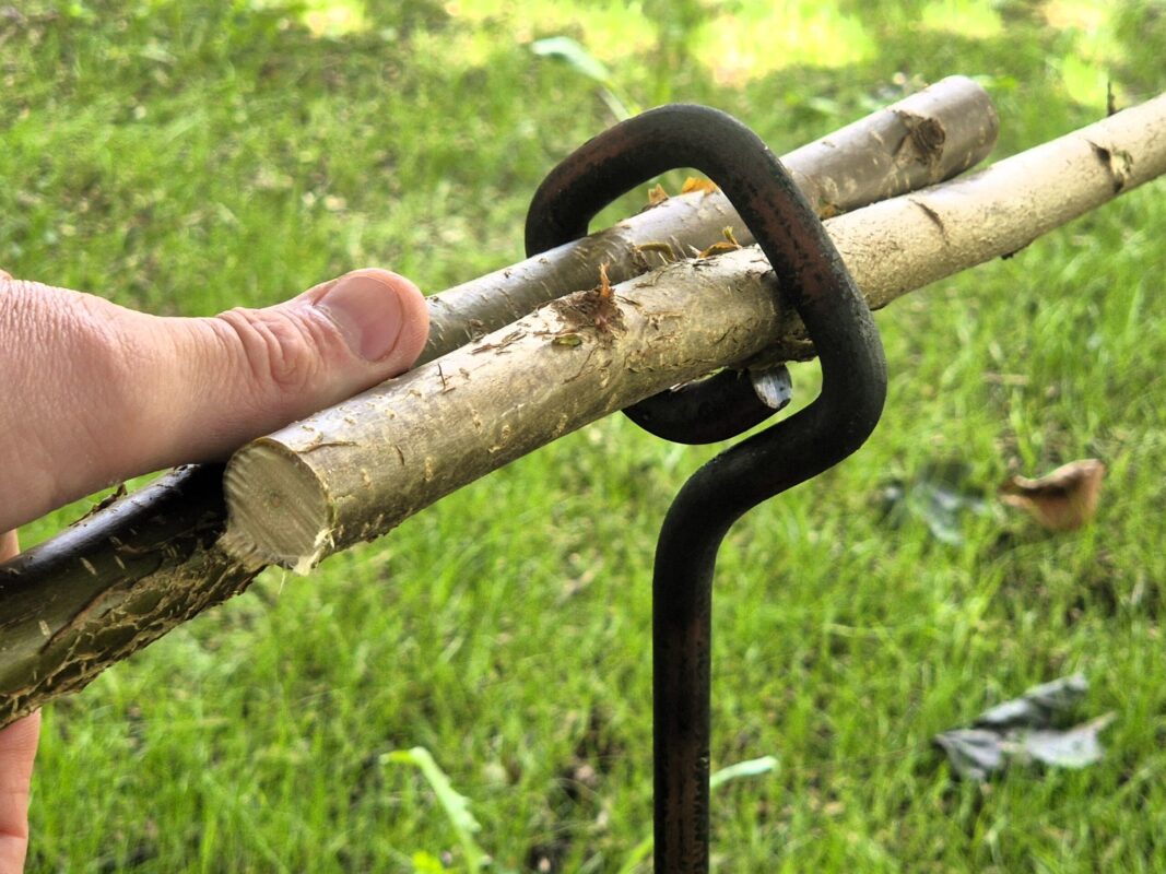 Im Rautenstange befinden sich zwei dünne Haseläste.