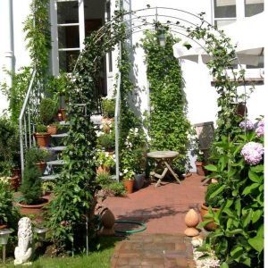 Arche de roses galvanisée avec des plantes