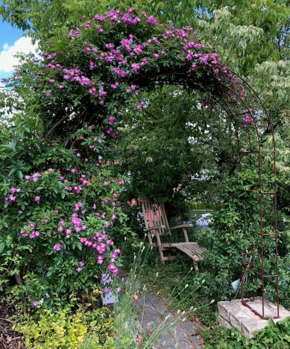 Der Rosenbogen mit Blumen berankt ist mein Lieblingsplatz im Garten