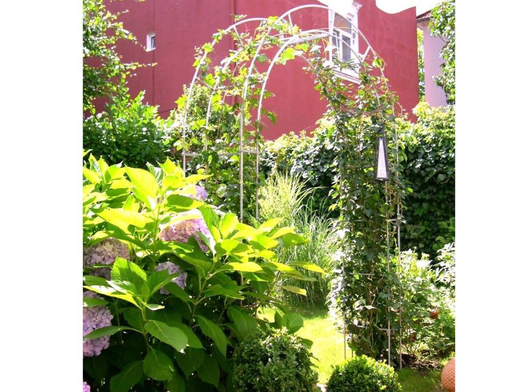 Stabiler Rosenbogen mit-Efeu-bewachsen