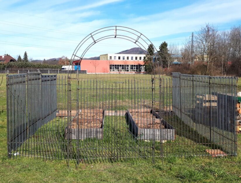 Geïntegreerde rozenboog in hek met poort, engmaschig-145-ruw.