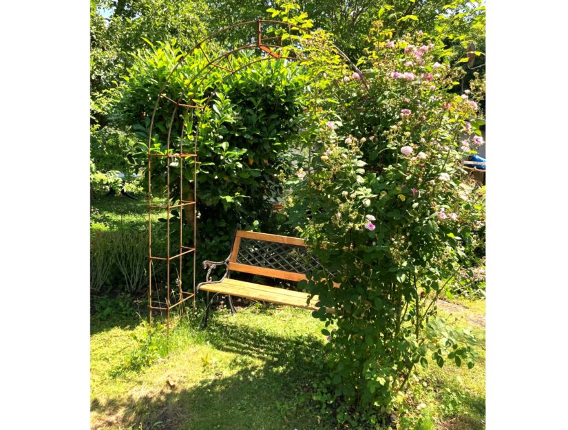 Rostiger Rosenbogen mit rosa Rosenstrauch vor einer Gartenbank.